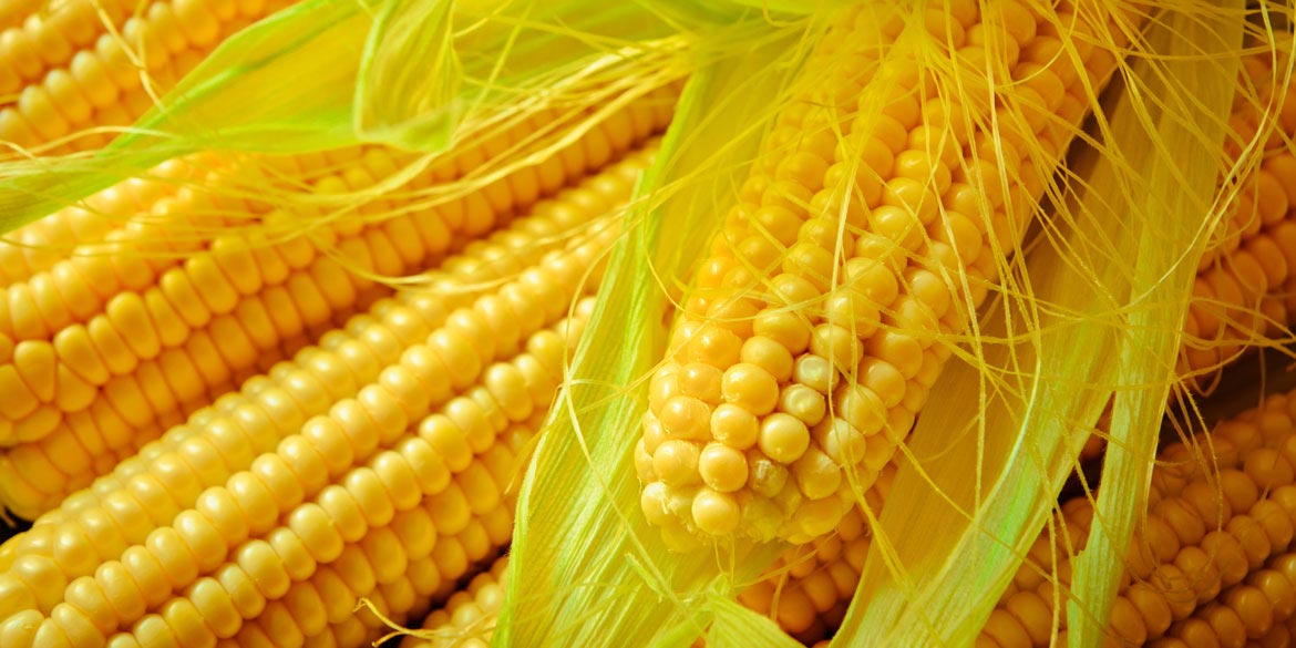 slide04-Fotolia_112502757_L.jpg
